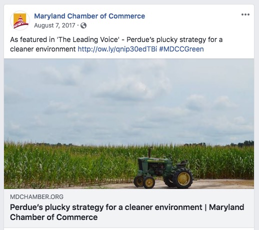 Leading Voice - Perdue